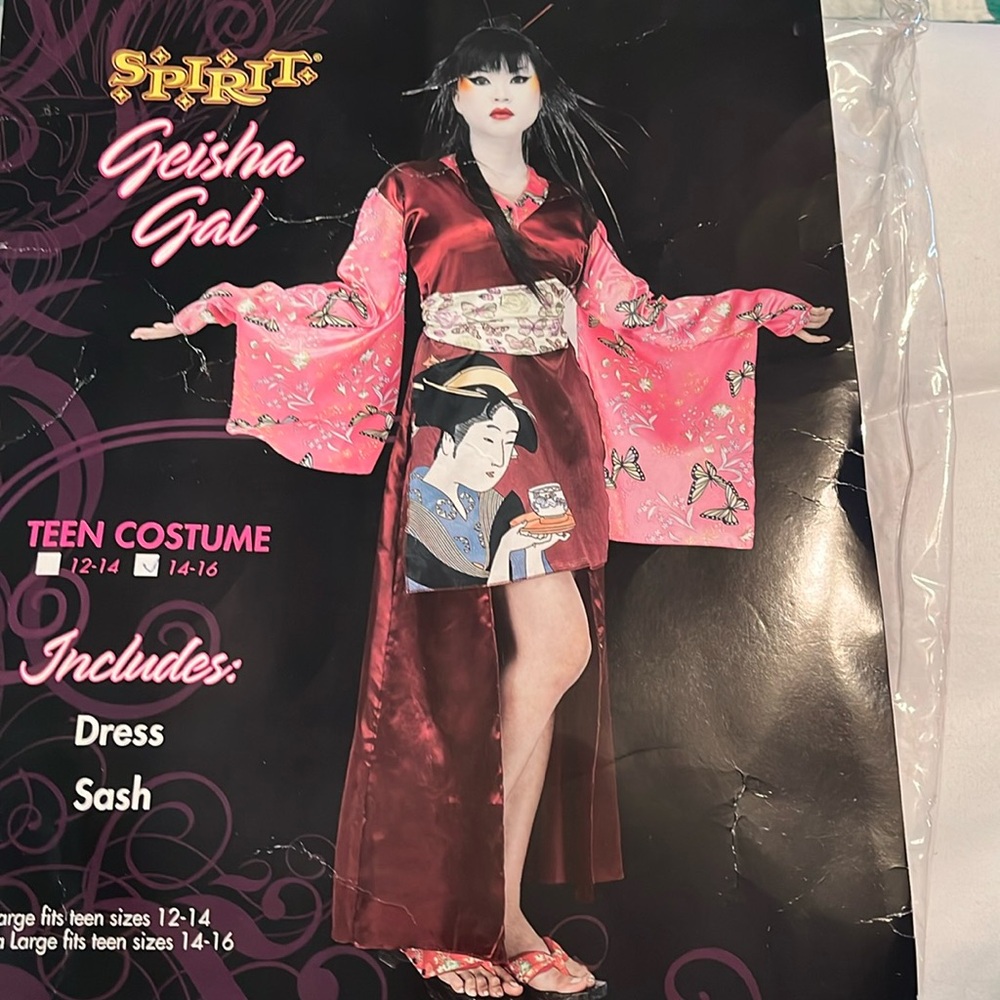 Spirit Geisha Lady Costume.